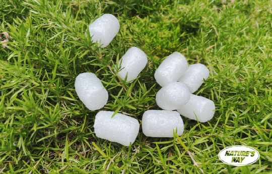 사진 제공= ㈜네이쳐스웨이